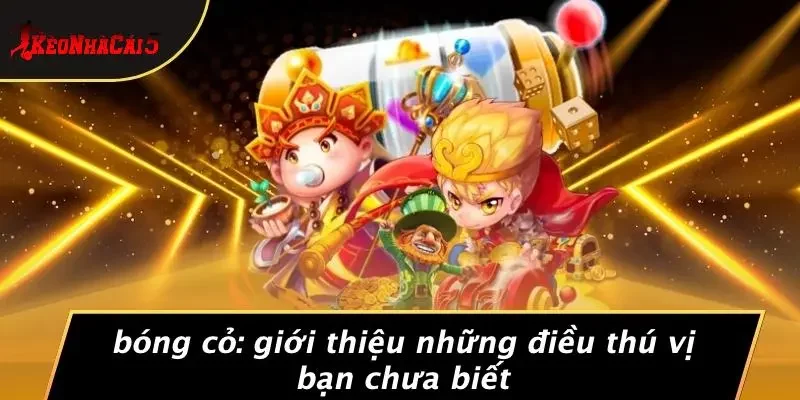 BÓNG CỎ: GIỚI THIỆU NHỮNG ĐIỀU THÚ VỊ BẠN CHƯA BIẾT