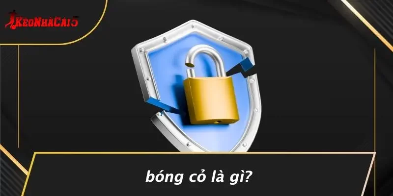 Bóng Cỏ Là Gì?