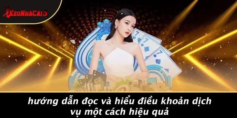 Hướng Dẫn Đọc Và Hiểu Điều Khoản Dịch Vụ Một Cách Hiệu Quả