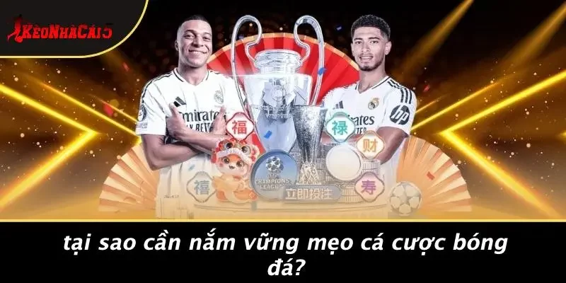 Tại Sao Cần Nắm Vững Mẹo Cá Cược Bóng Đá?