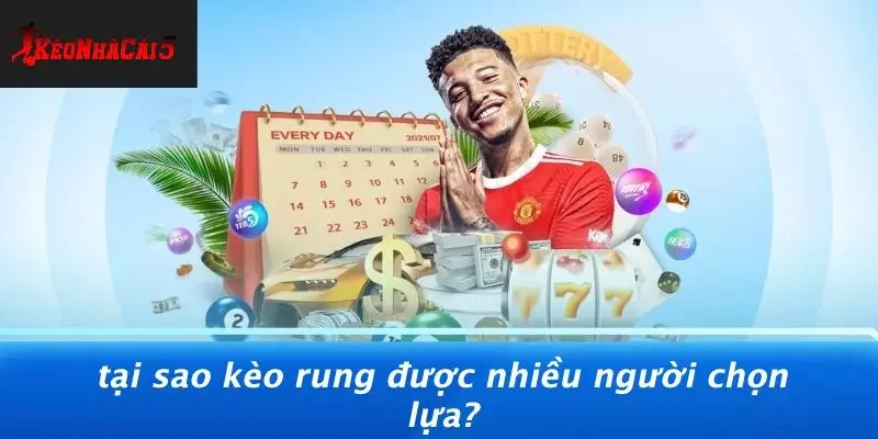 Tại Sao Kèo Rung Được Nhiều Người Chọn Lựa?
