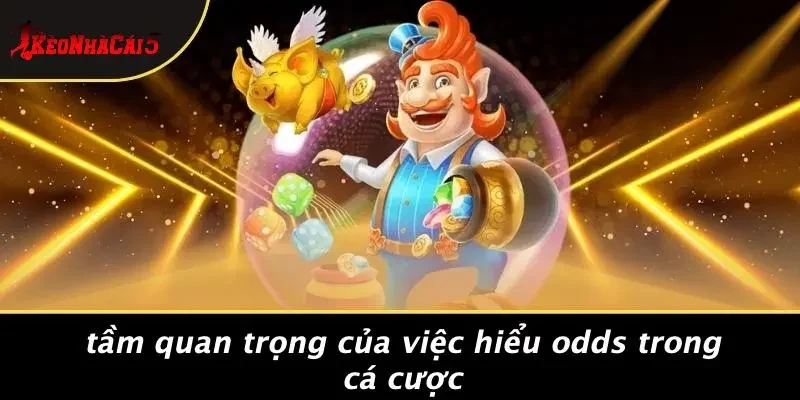 Tầm Quan Trọng Của Việc Hiểu Odds Trong Cá Cược