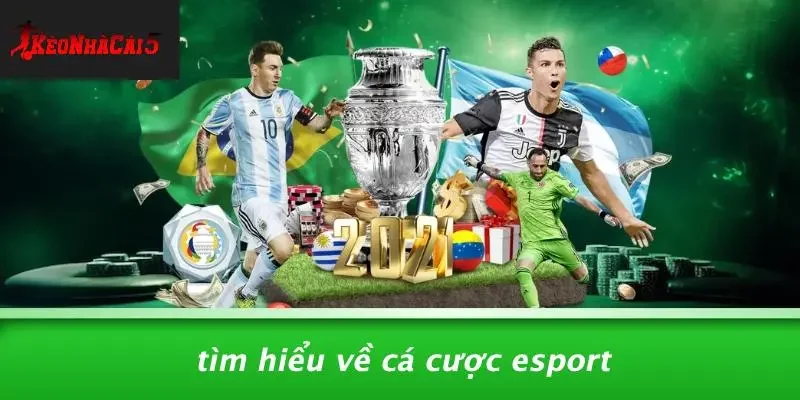 Tìm Hiểu Về Cá Cược Esport