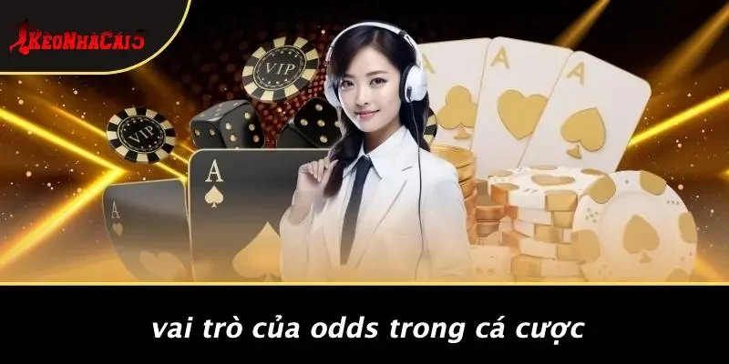Vai Trò Của Odds Trong Cá Cược