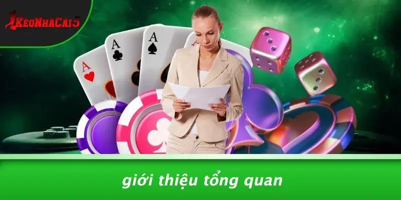 Giới Thiệu Tổng Quan